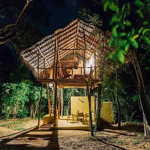 https://back-of-beyond-pidurangala.kandyhotelsnow.com